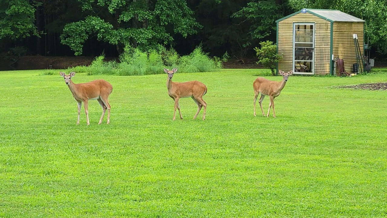 Photo of Others in Broken Bow