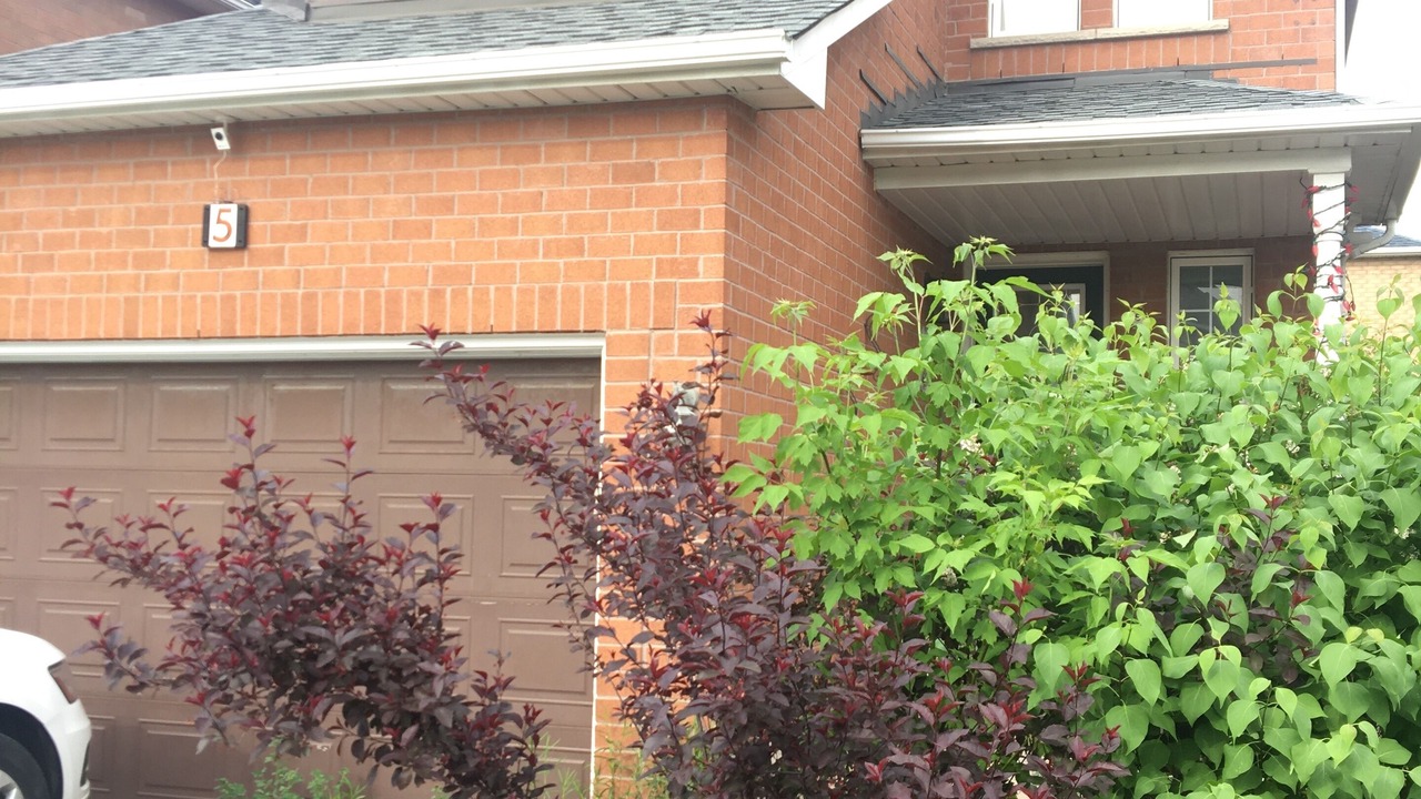 Photo of Outdoor in Vaughan