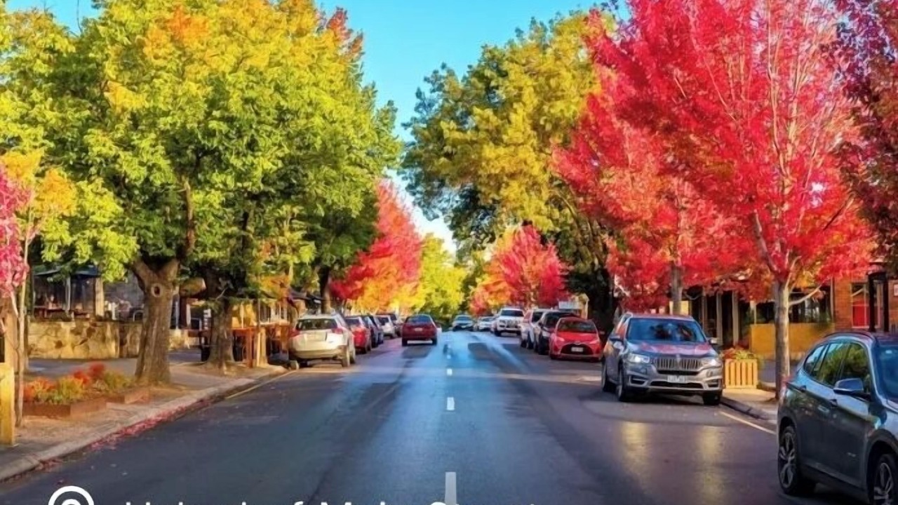 Photo of Others in Hahndorf