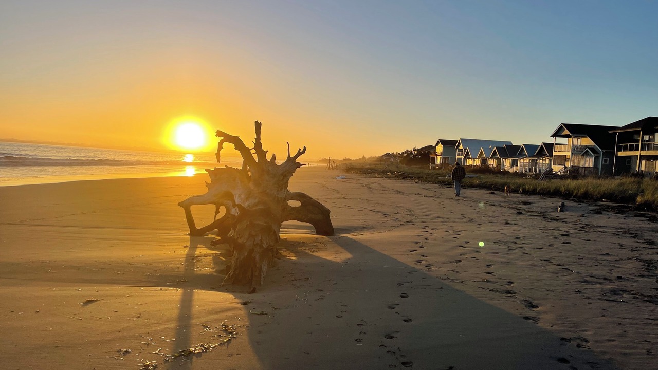 Photo of Others in Ocean Shores