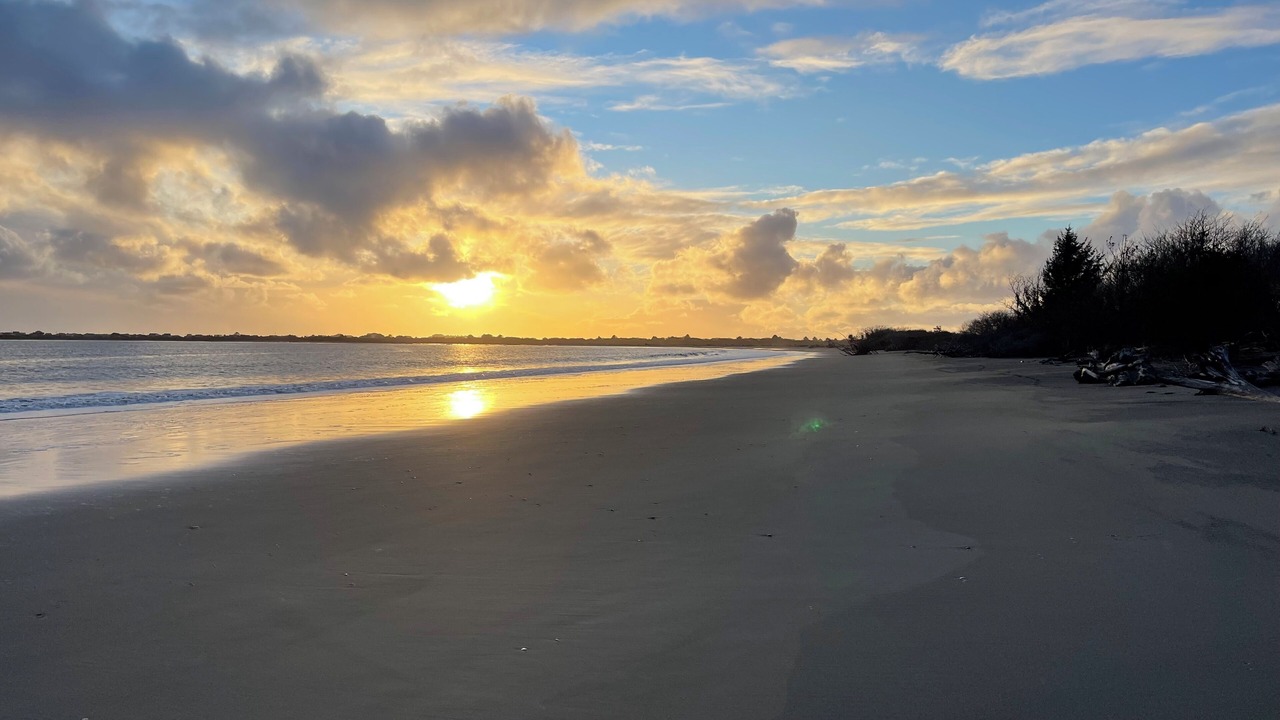 Photo of Others in Ocean Shores
