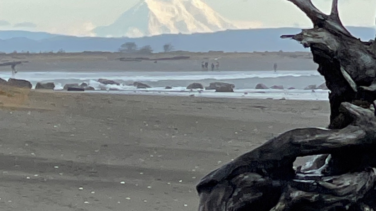 Photo of Others in Ocean Shores