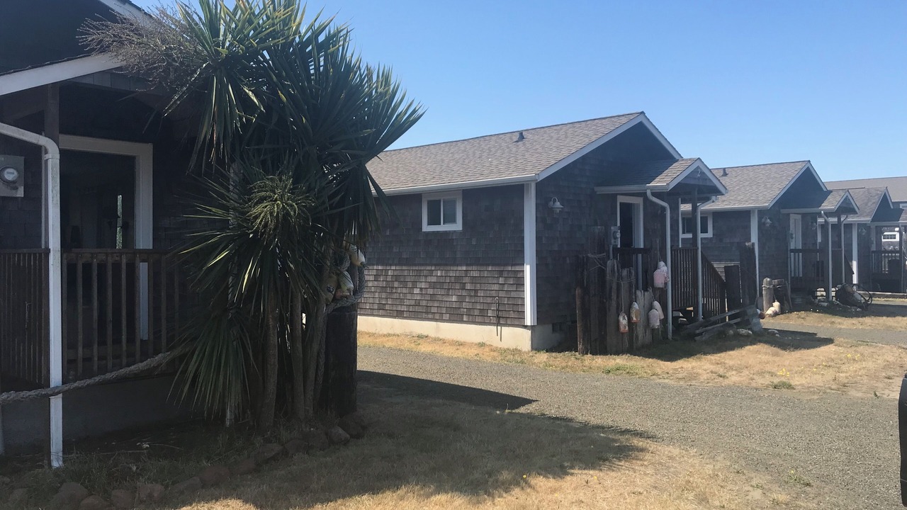 Photo of Outdoor in Ocean Shores