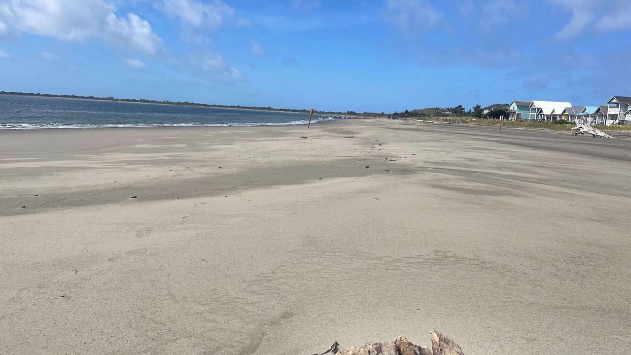 Photo of Others in Ocean Shores