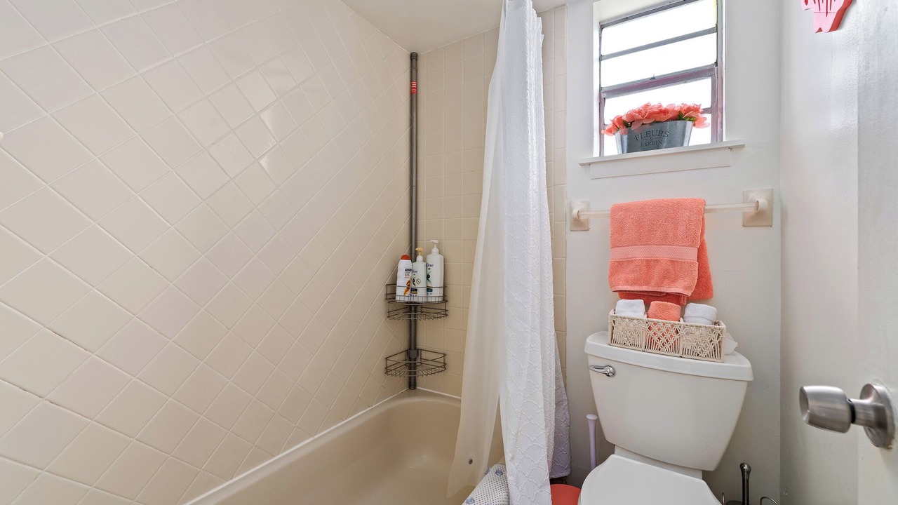 Photo of Others in O'byrne