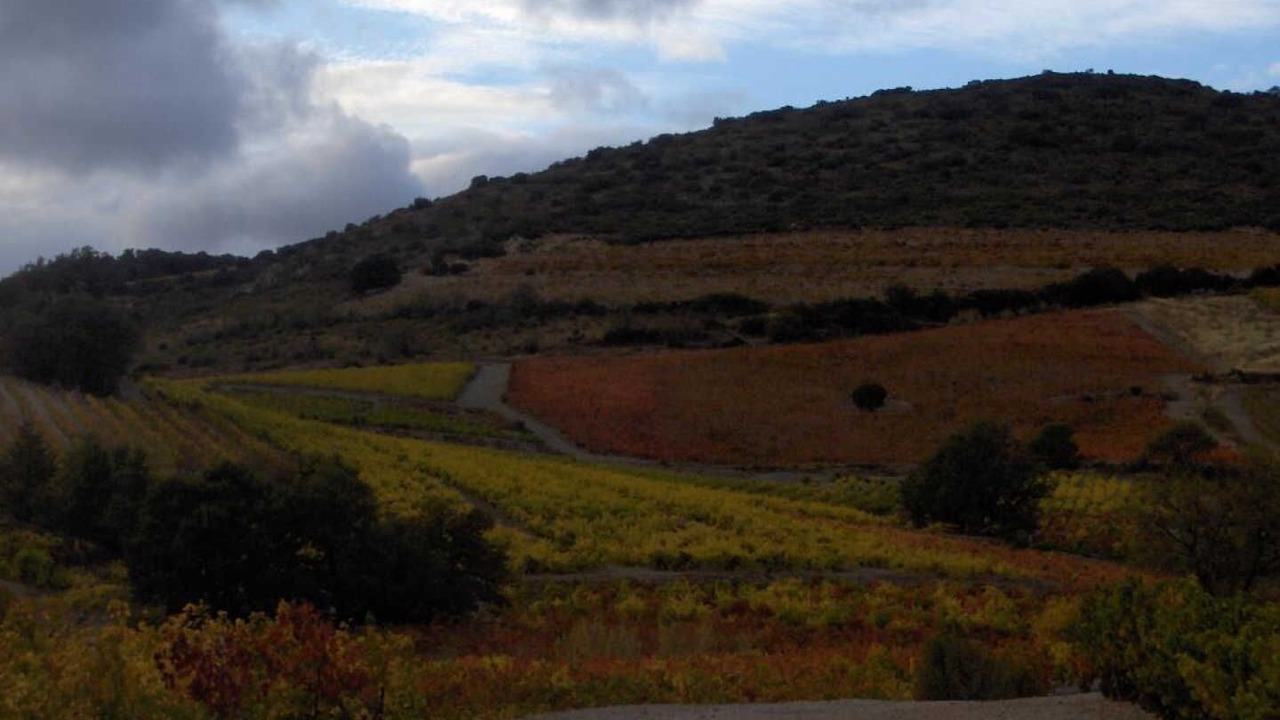 Photo of Others in Planezes