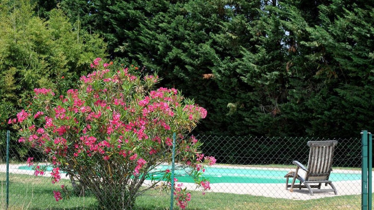 Photo of Outdoor in Thuir