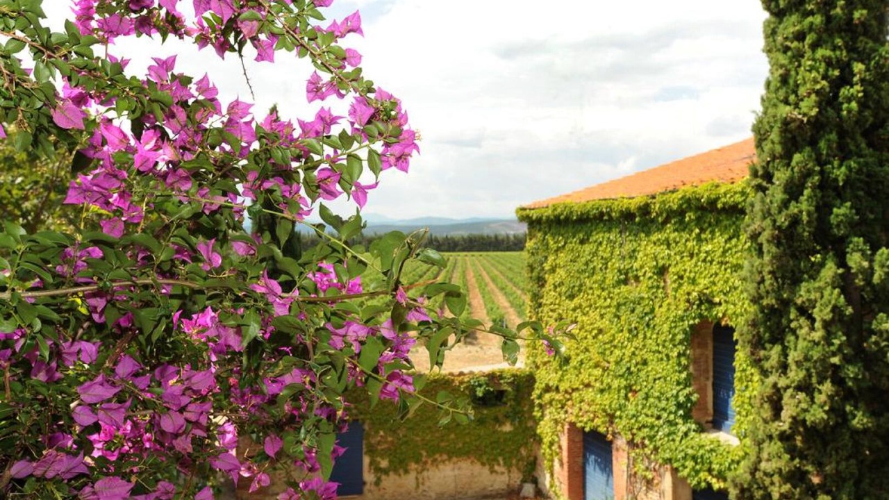 Photo of Outdoor in Thuir