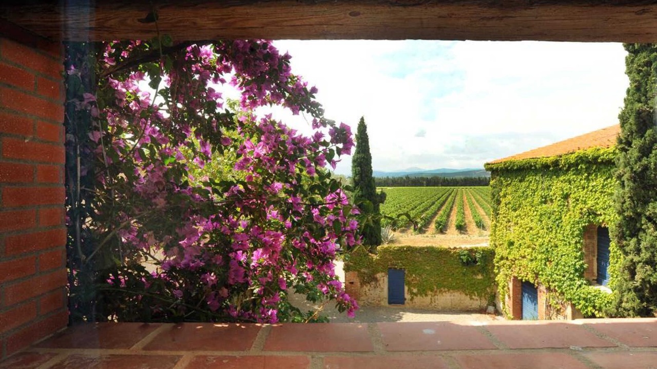 Photo of Outdoor in Thuir