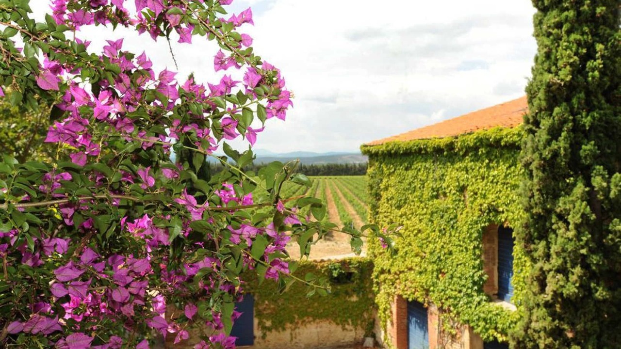 Photo of Outdoor in Thuir