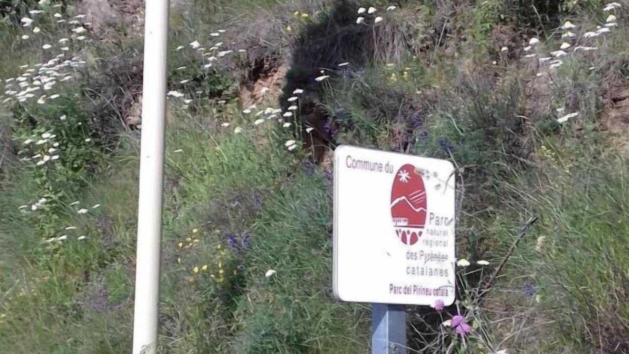 Photo of Outdoor in Ayguatebia-Talau