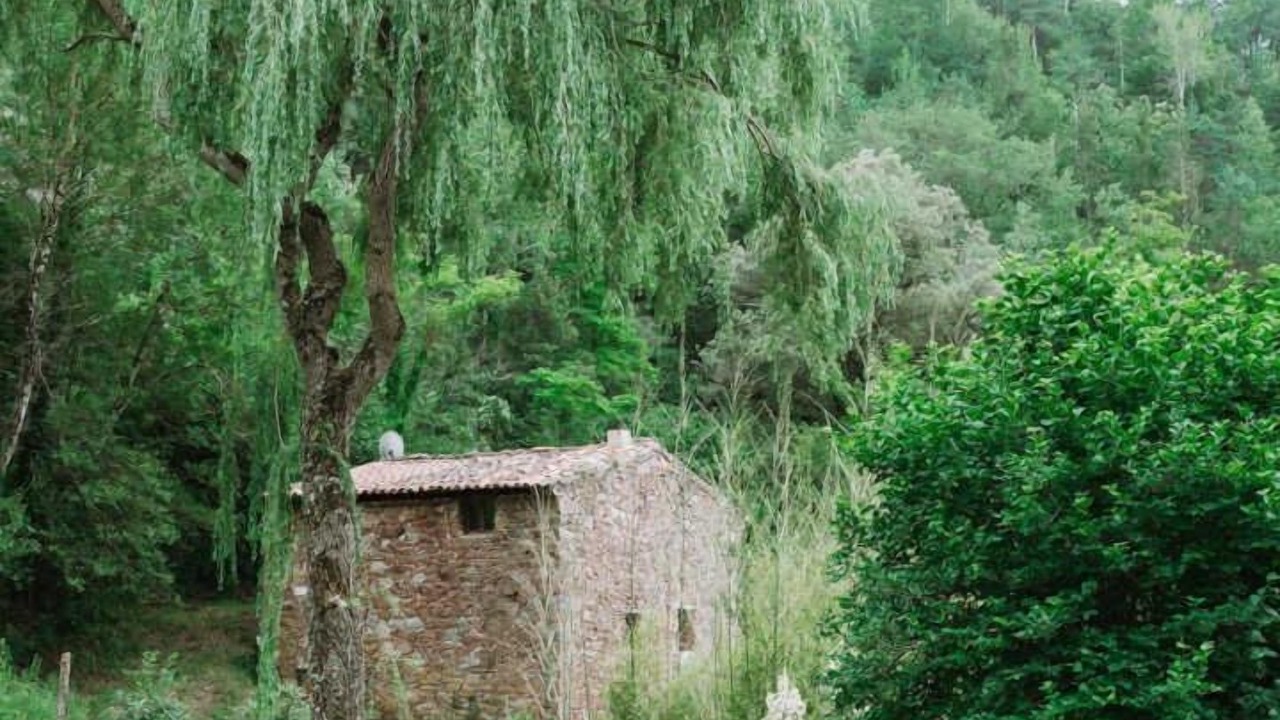 Photo of Others in Coustouges