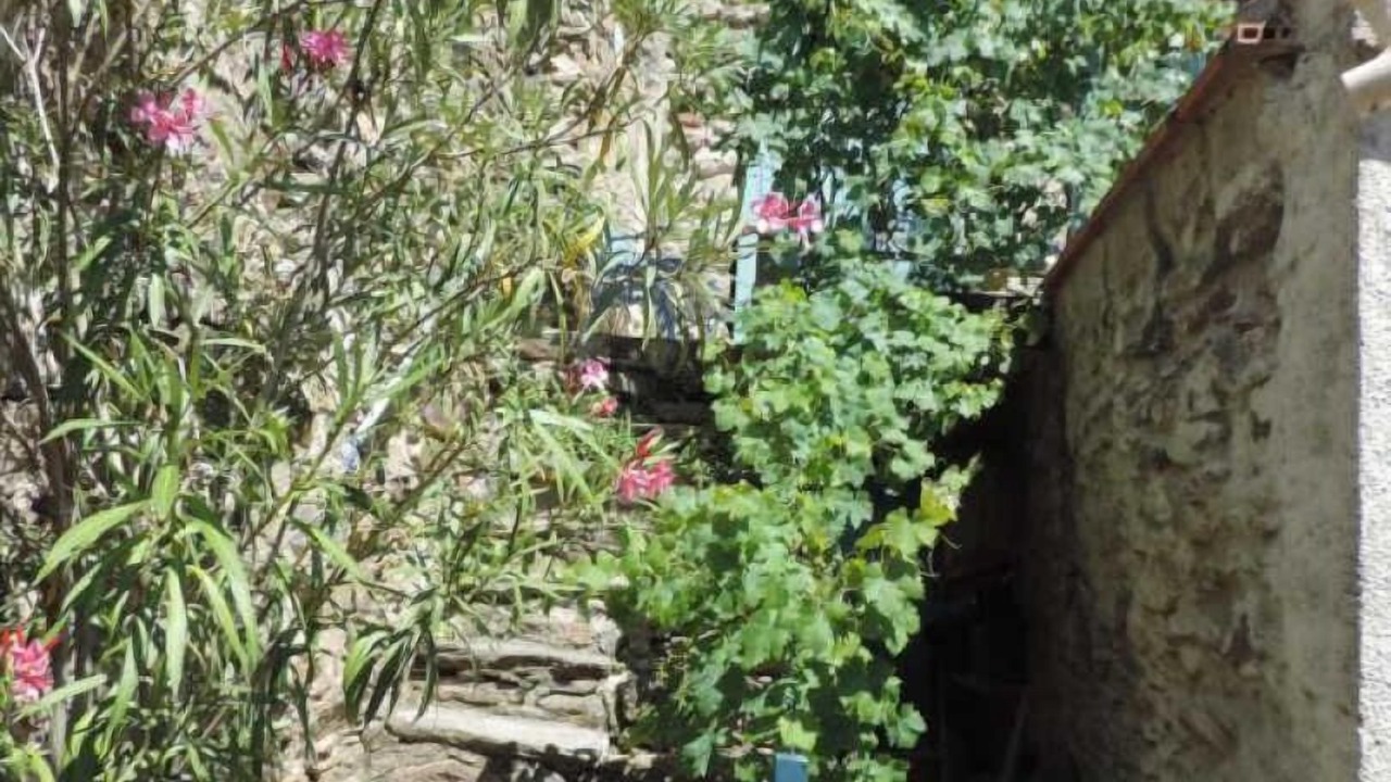 Photo of Outdoor in Clara