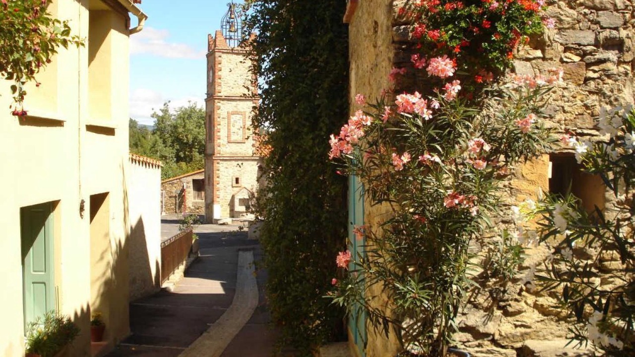Photo of Outdoor in Clara