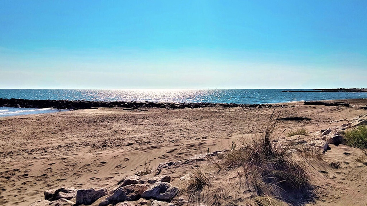 Photo of Others in Nages-et-Solorgues