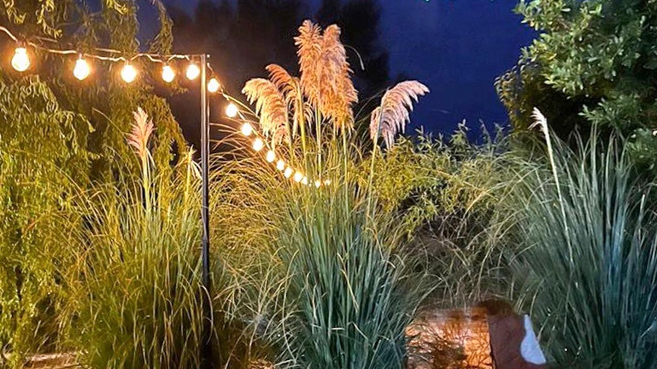 Photo of Others in Jonquieres