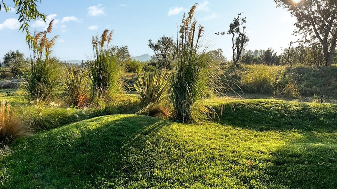 Photo of Others in Jonquieres