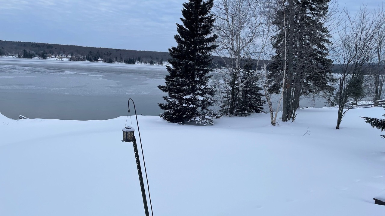 Photo of Others in L'Anse