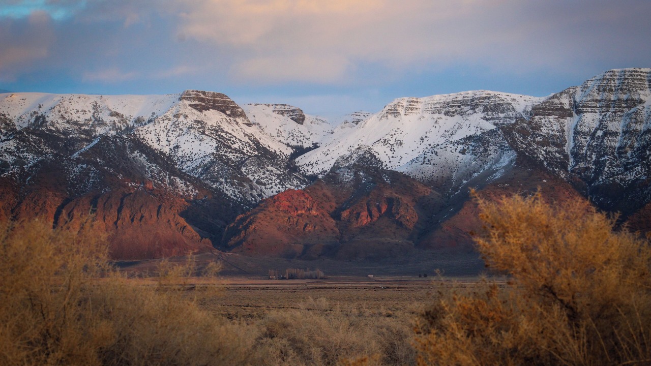 Photo of Others in Plush