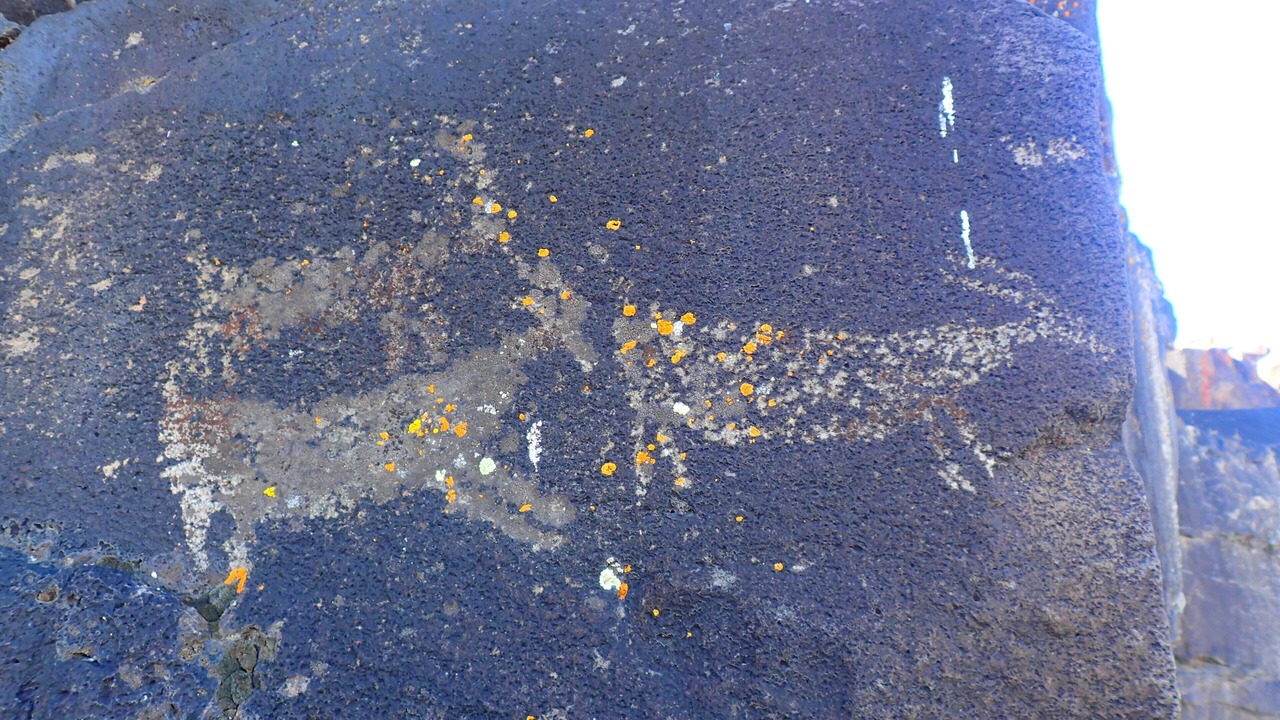 Photo of Others in Plush