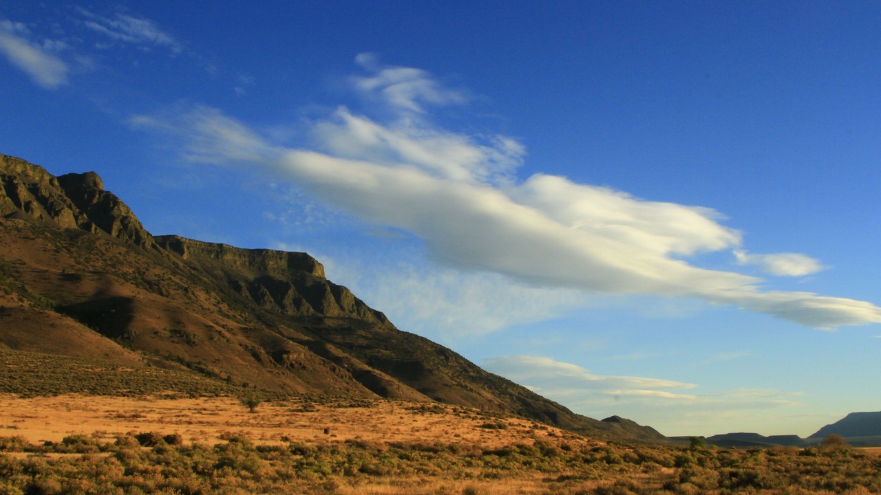 Photo of Others in Plush