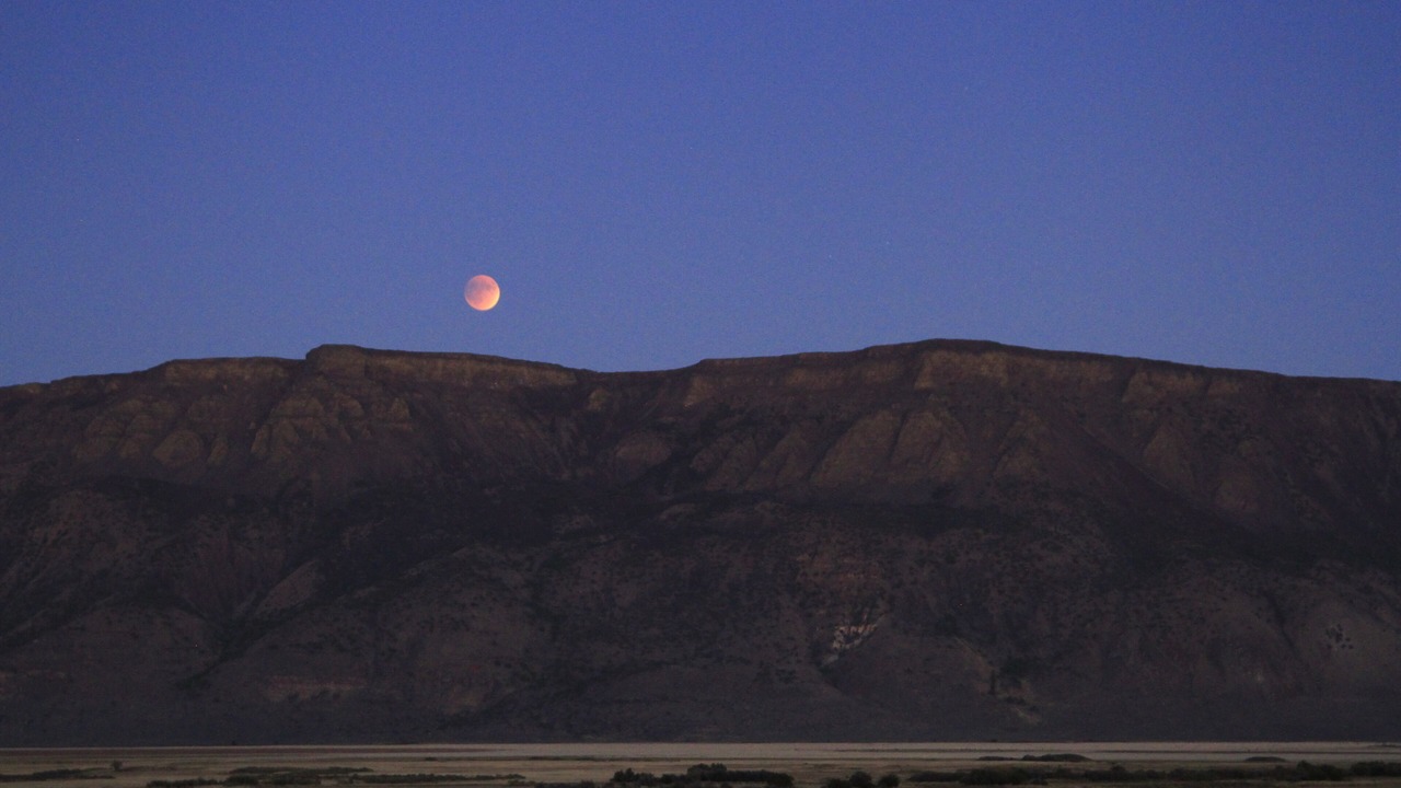 Photo of Others in Plush