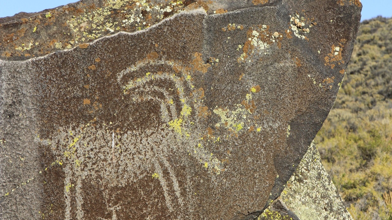 Photo of Others in Plush