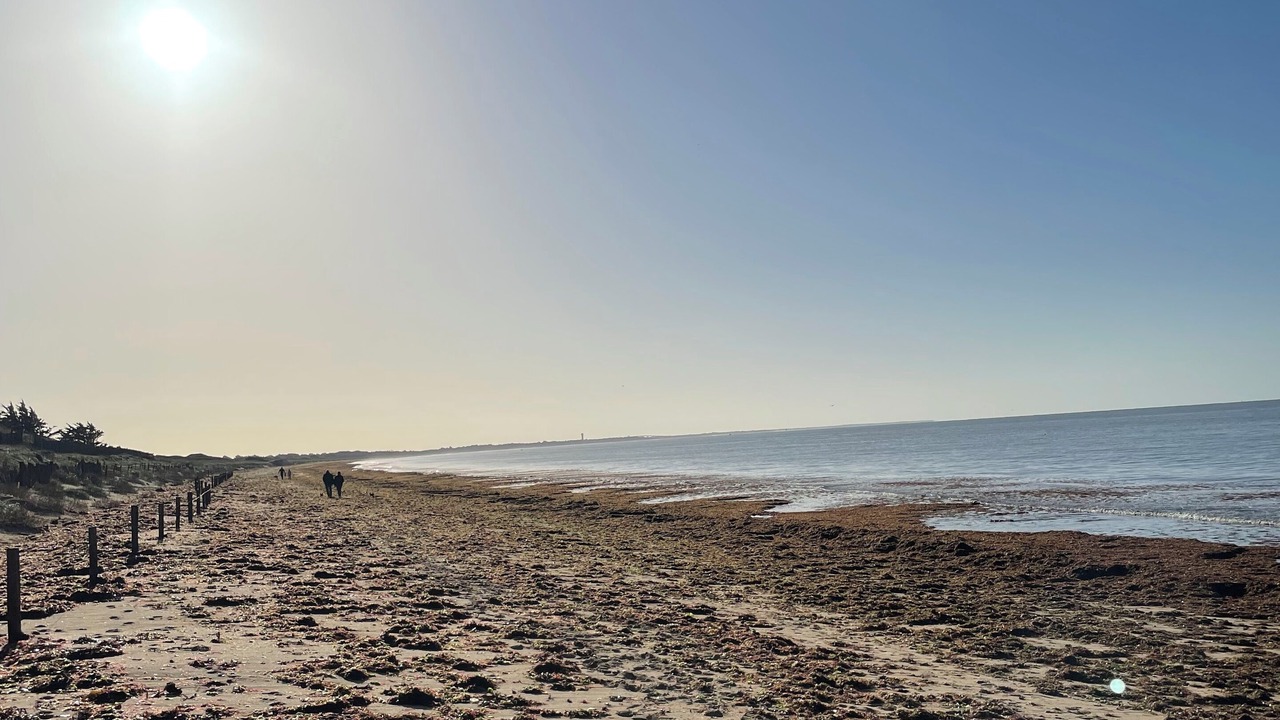 Photo of Others in Barbatre