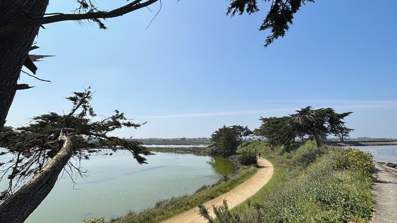 Photo of Others in Barbatre