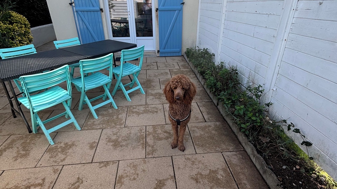 Photo of Outdoor in Barbatre