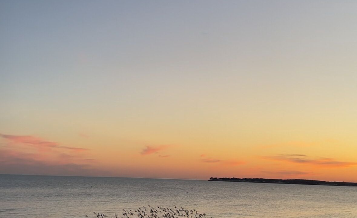 Photo of Others in Barbatre