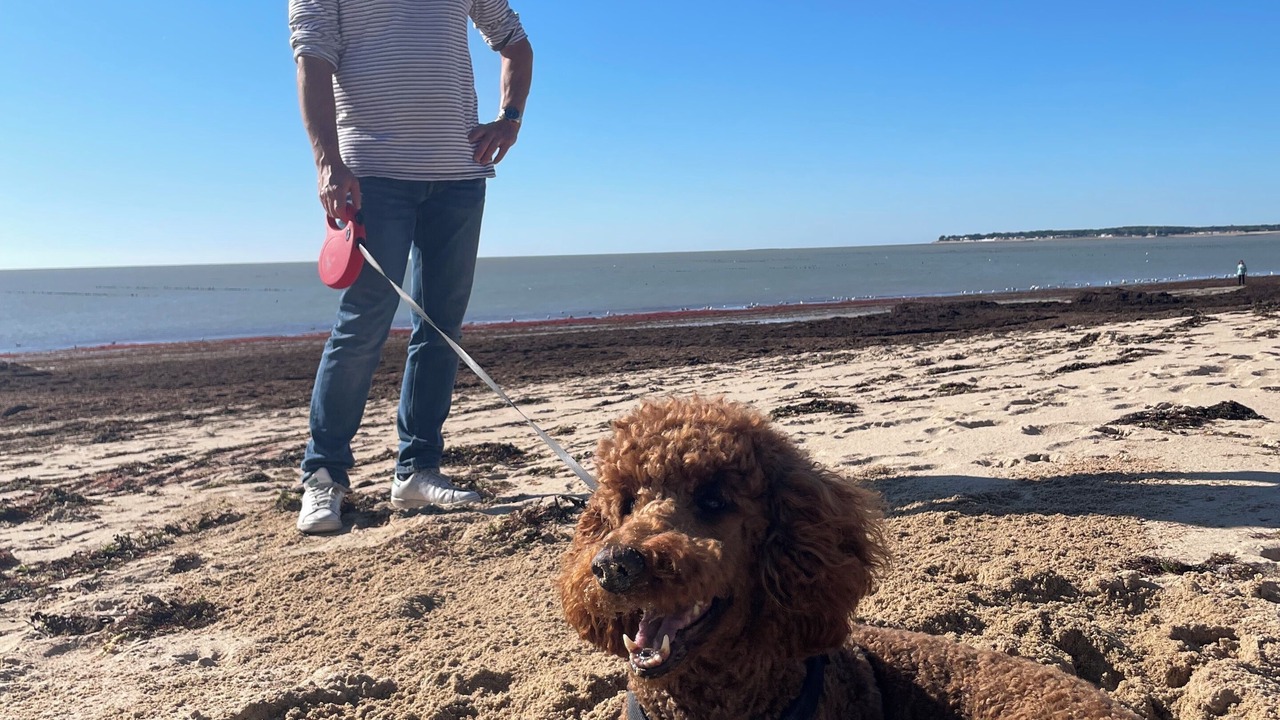 Photo of Others in Barbatre