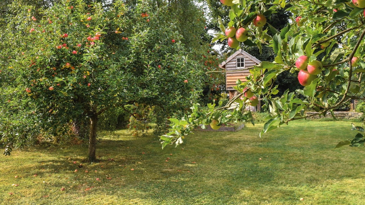 Photo of Outdoor in Llanddewi Brefi