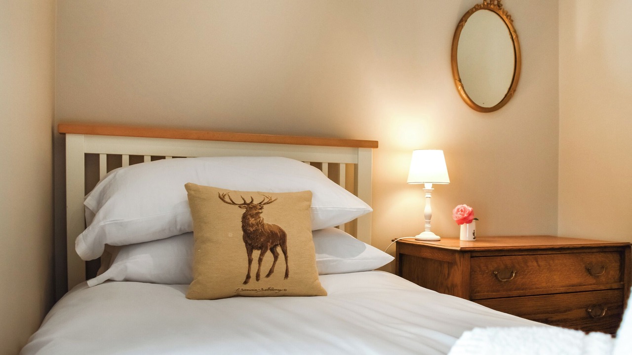 Photo of Others in Llanddewi Brefi