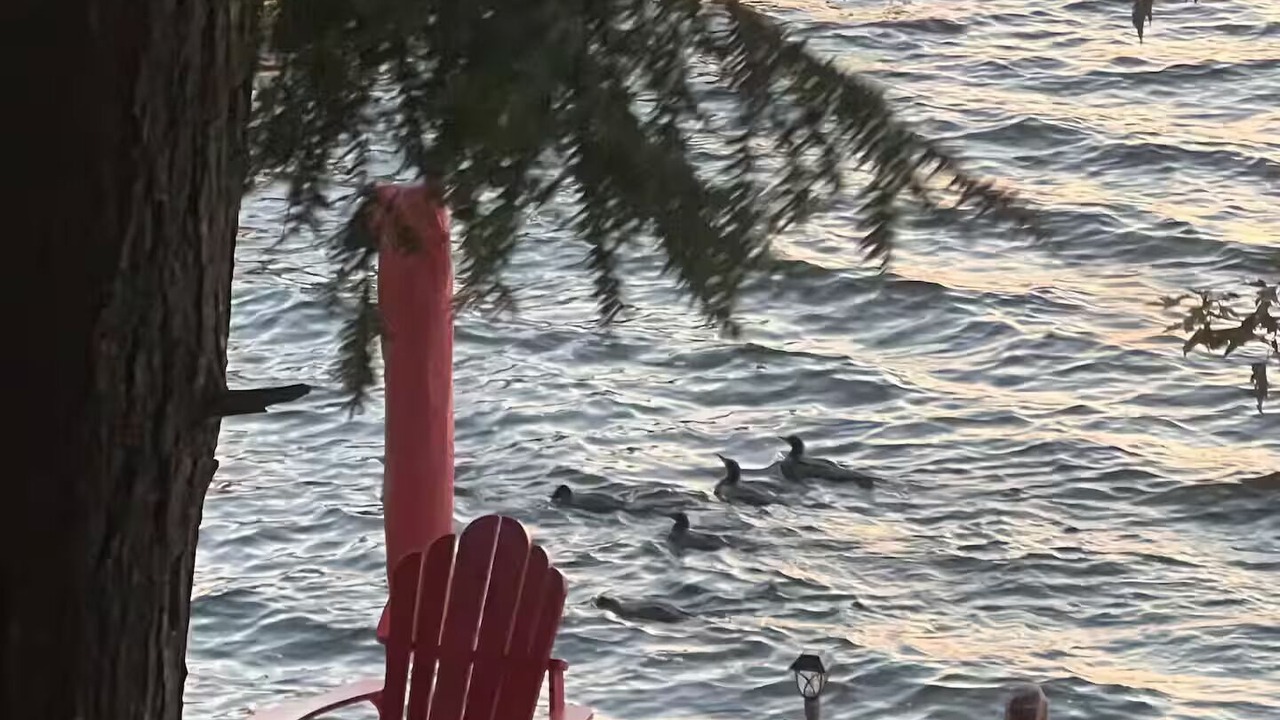 Photo of Outdoor in Burnt River