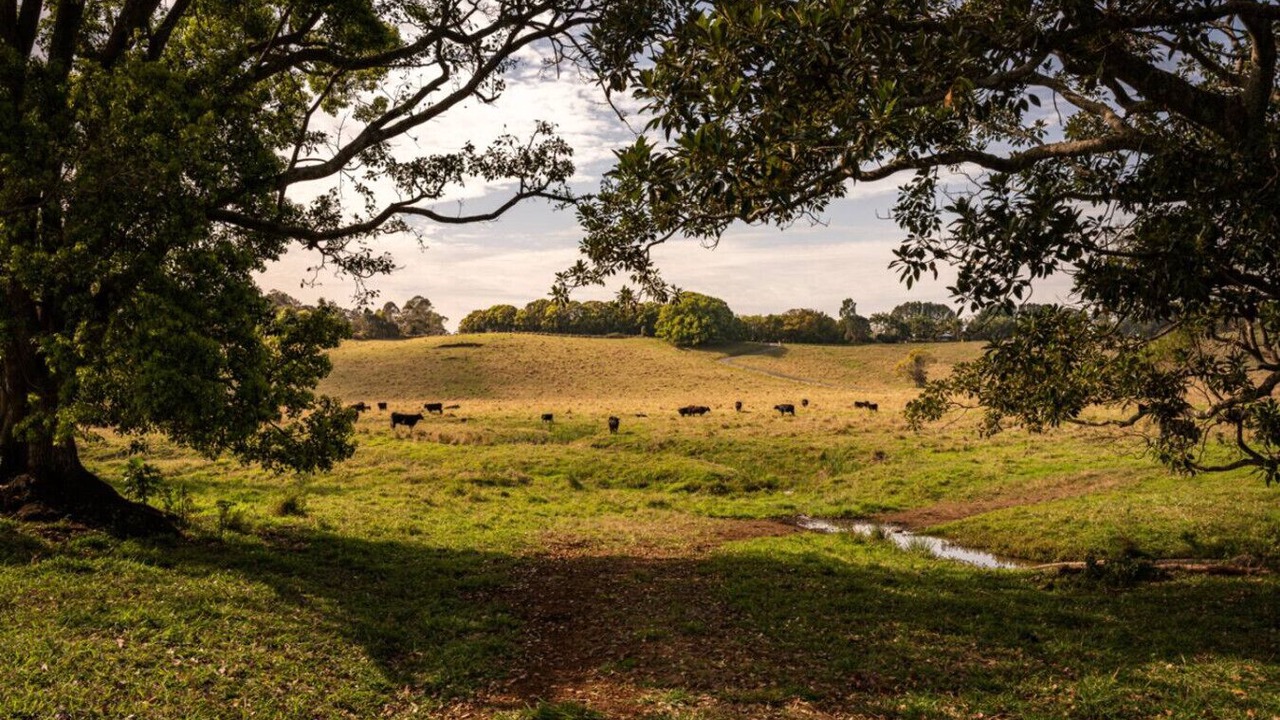 Photo of Others in Myocum