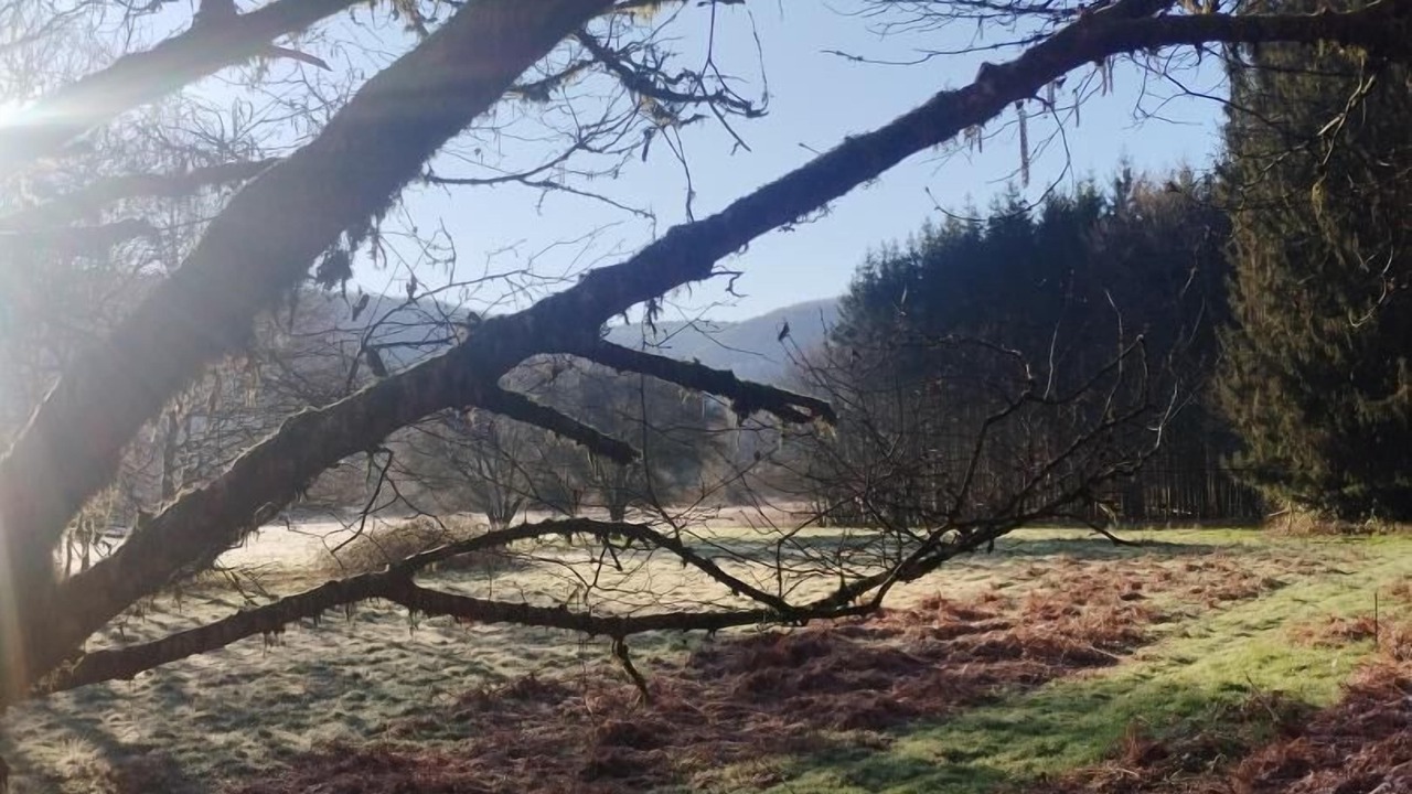 Photo of Others in Haulme