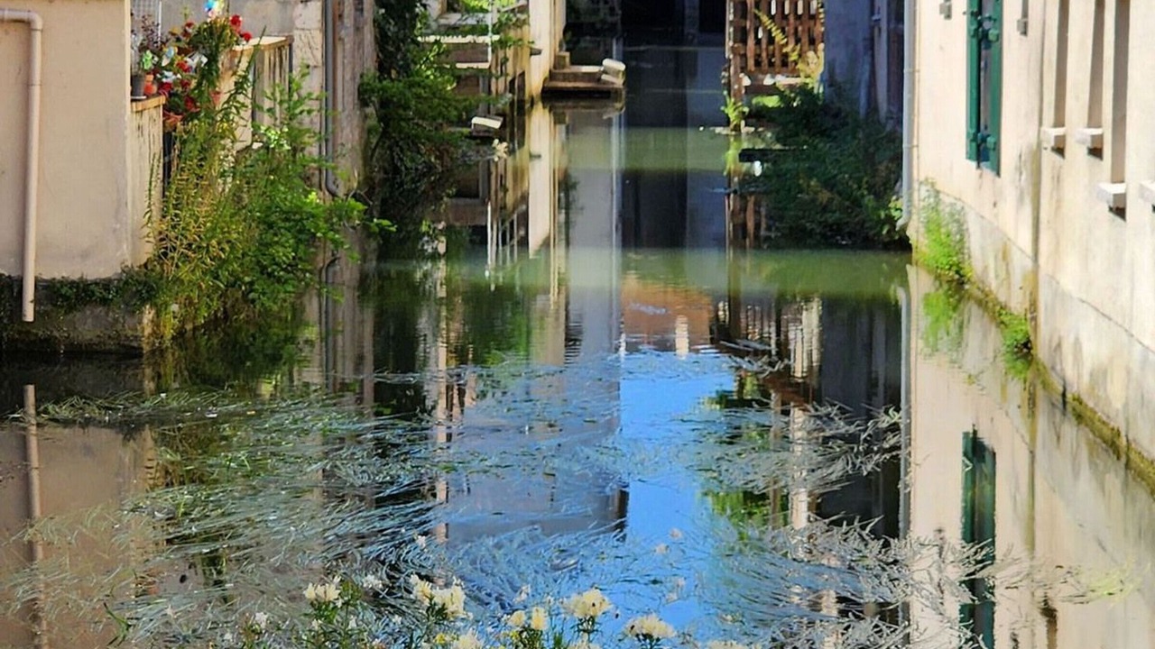 Photo of Outdoor in Montargis