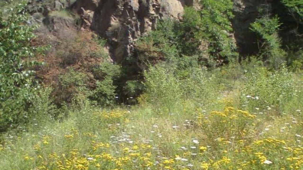 Photo of Others in Latour-de-Carol