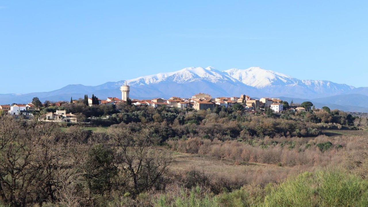 Photo of Others in Banyuls-dels-Aspres