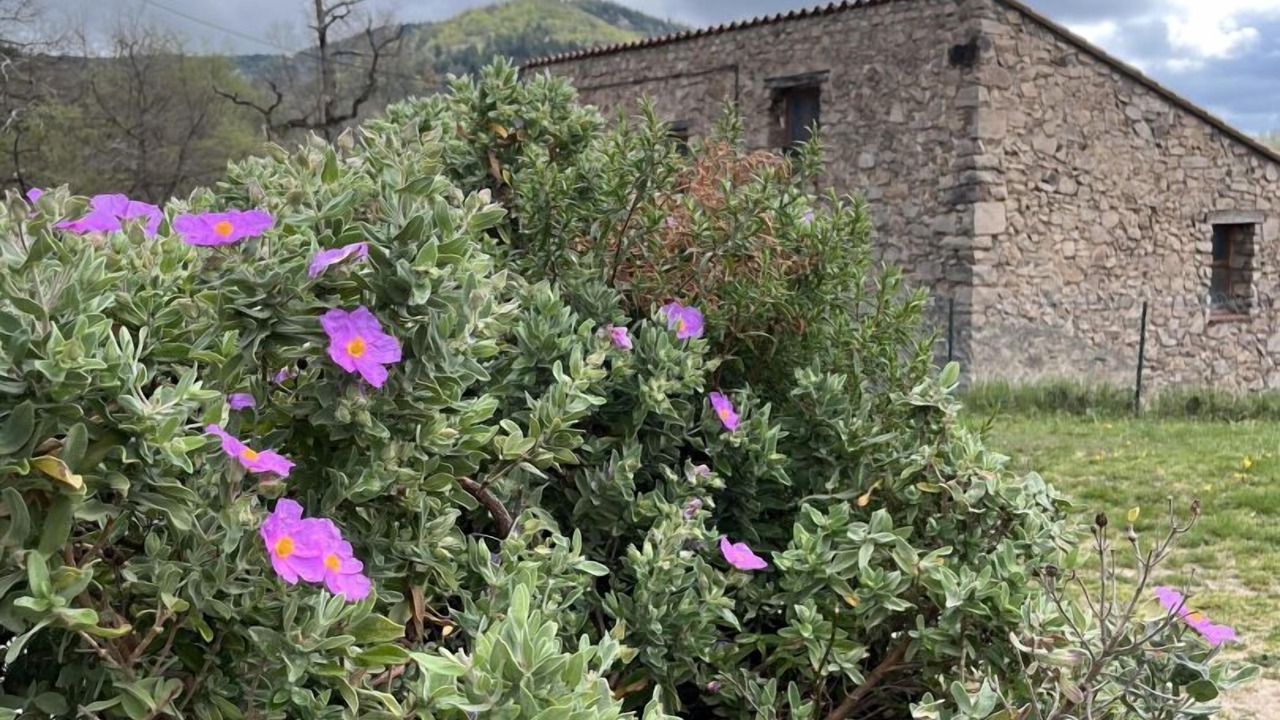 Photo of Outdoor in Saint-Laurent-de-Cerdans