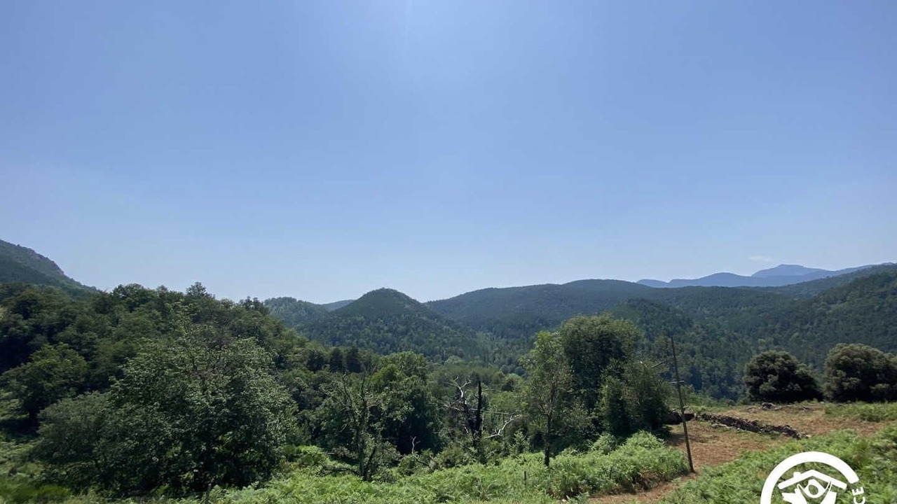 Photo of Others in Saint-Laurent-de-Cerdans