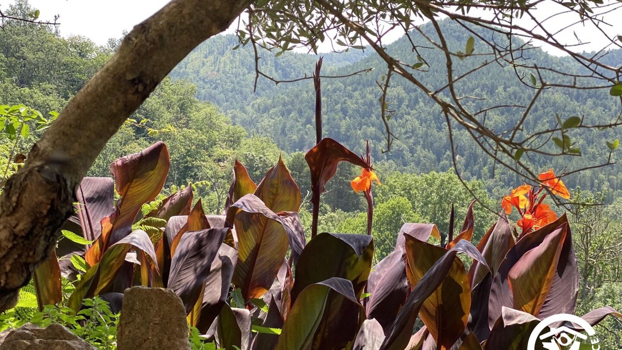 Photo of Outdoor in Saint-Laurent-de-Cerdans