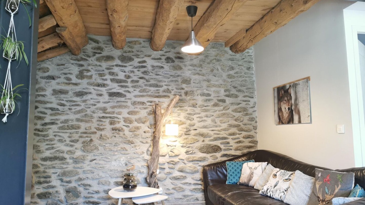 Photo of Livingroom in Osseja