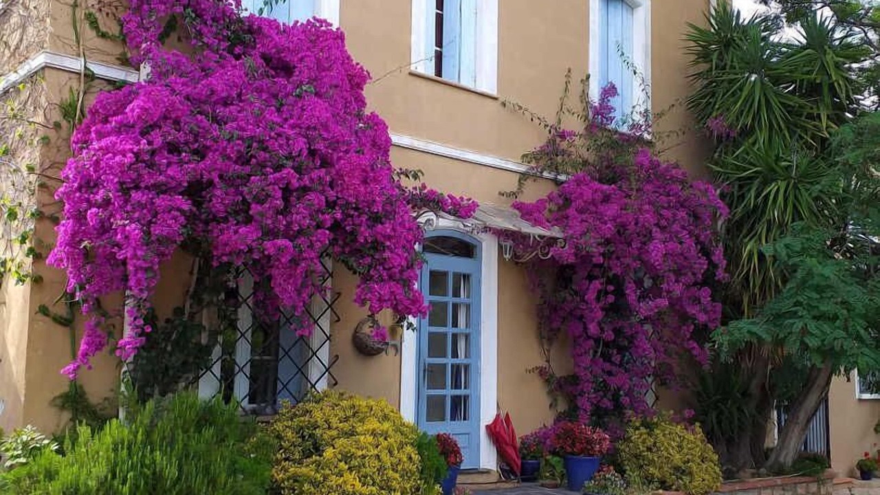 Photo of Outdoor in Rivesaltes