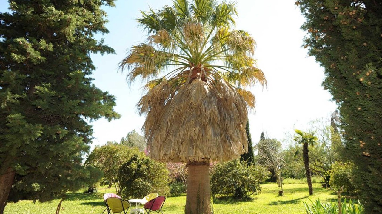Photo of Outdoor in Rivesaltes