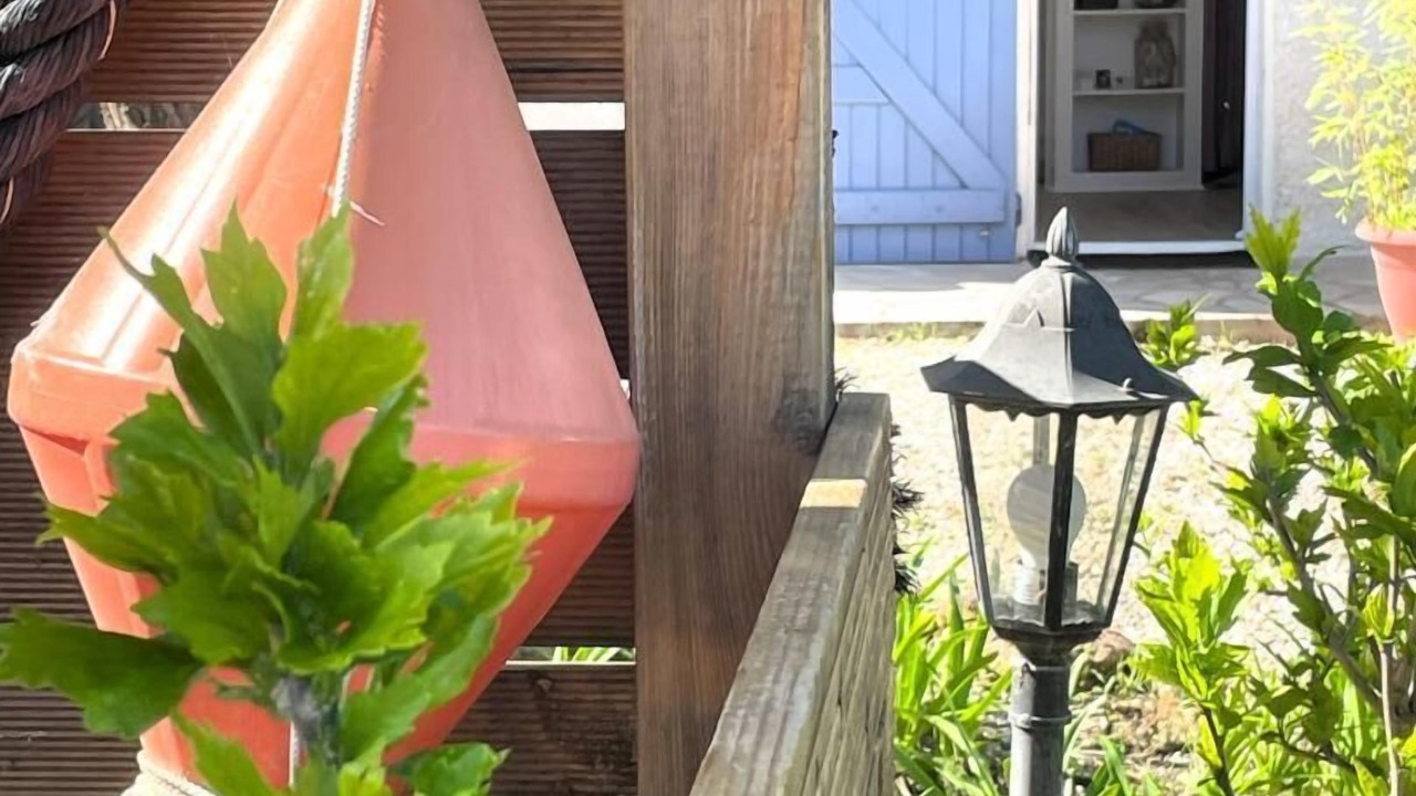 Photo of Outdoor in Laroque-des-Alberes