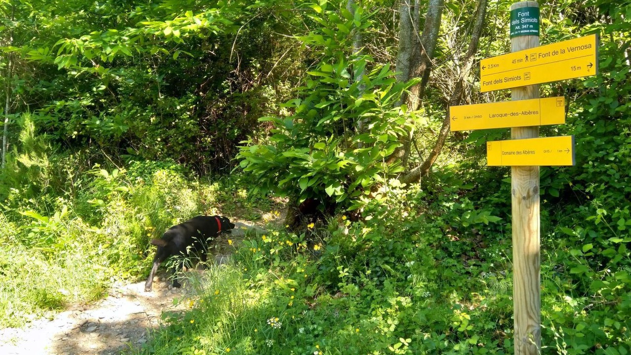 Photo of Outdoor in Laroque-des-Alberes