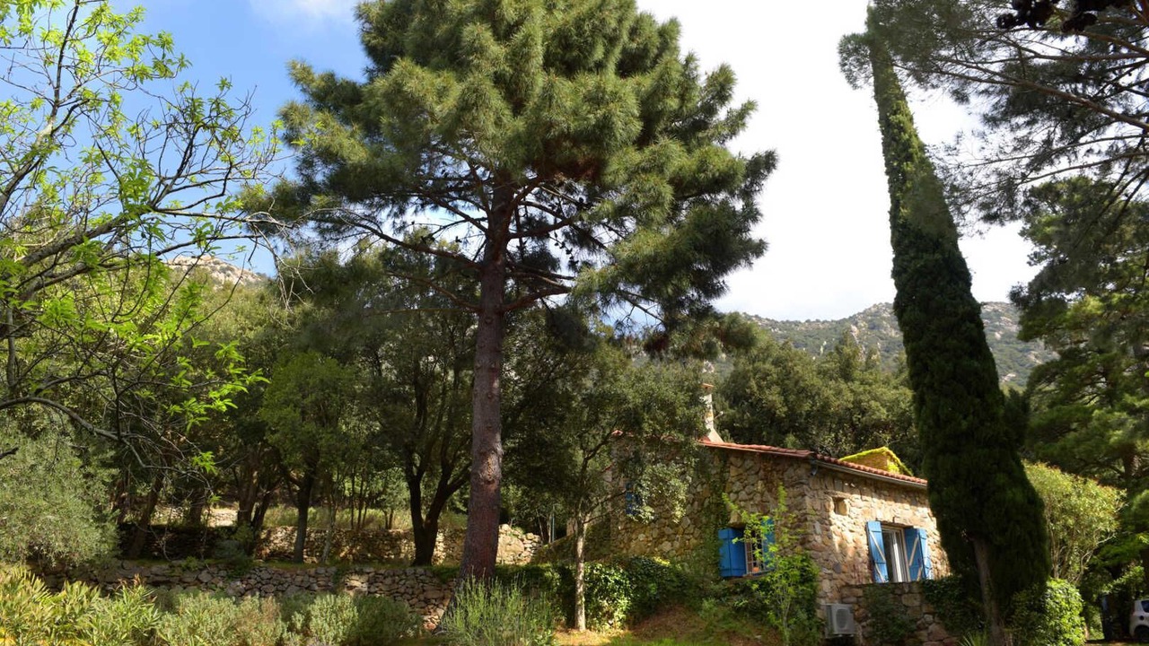 Photo of Others in Sorede