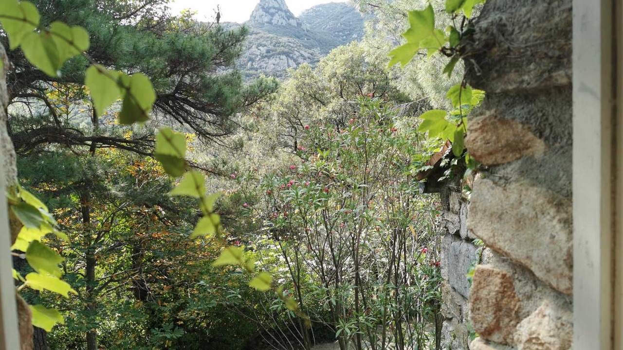 Photo of Outdoor in Sorede